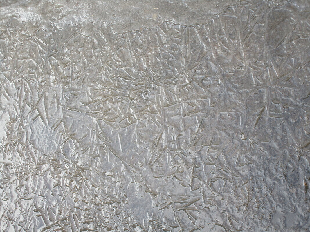 мятая лужа - Елена Шаламова