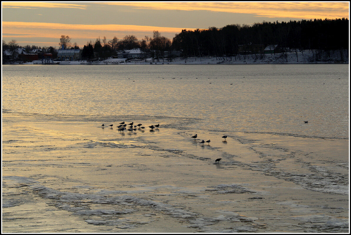 *** - Aleksandr Gal *** - Aleksandr Gal