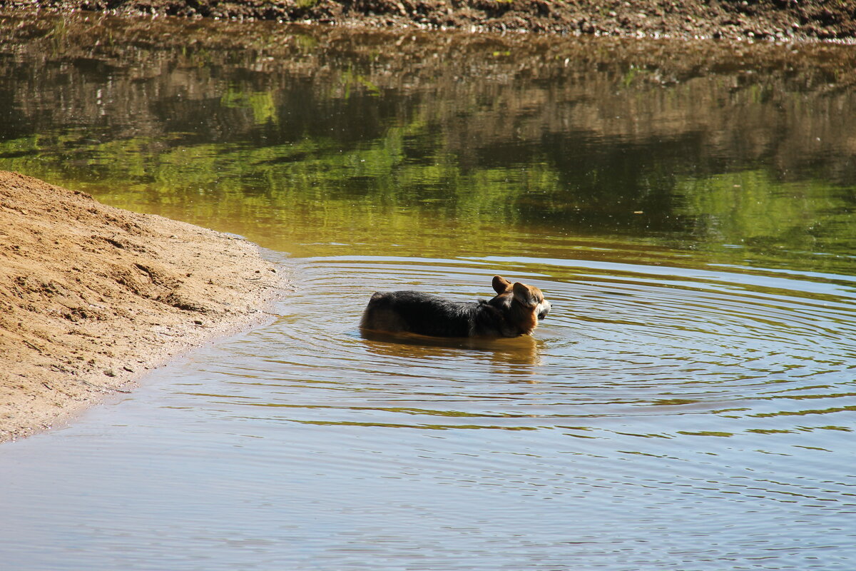 МАЙСКИЙ ЗАПЛЫВ... - Валентина 