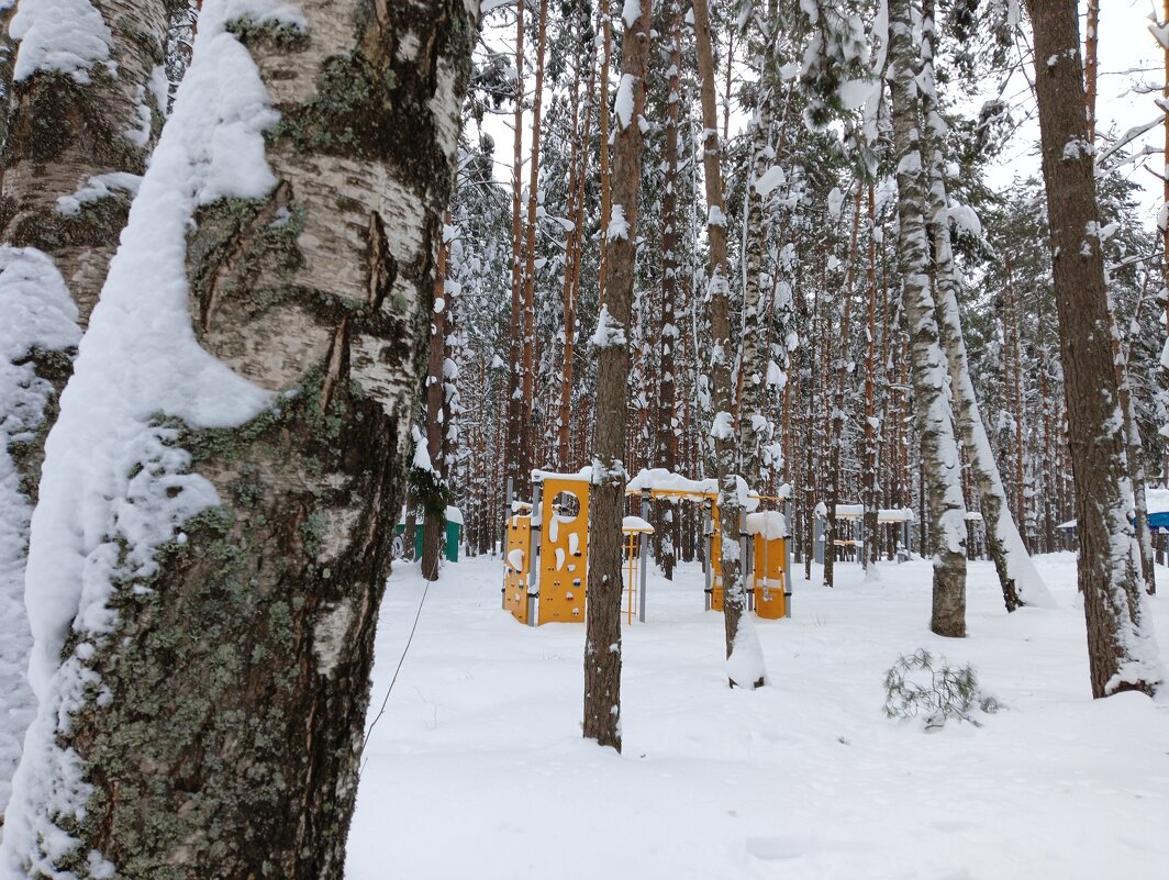 спрятался от тренажера - Владимир спрятался от тренажера - Владимир