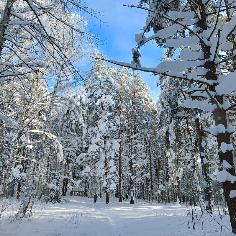 прогулка на природе - Владимир прогулка на природе - Владимир