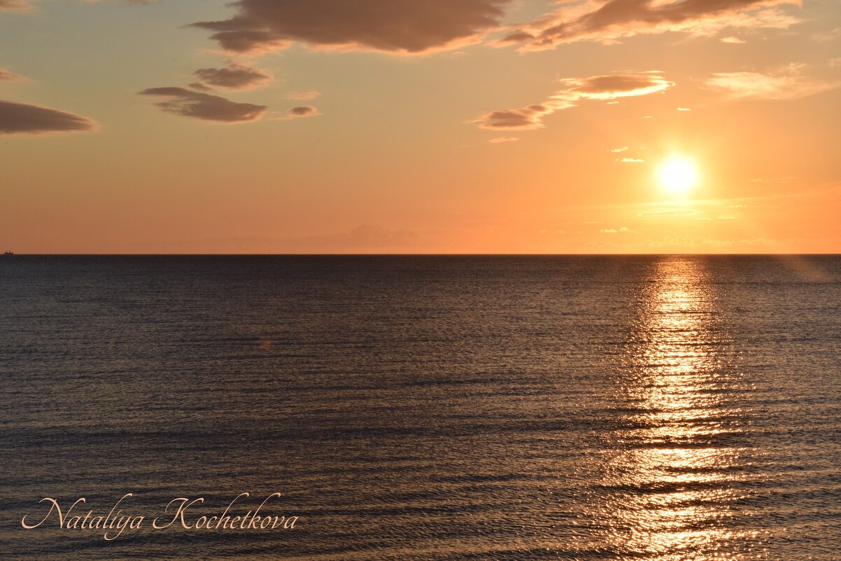 Природа Крыма - Amazing Cosmea