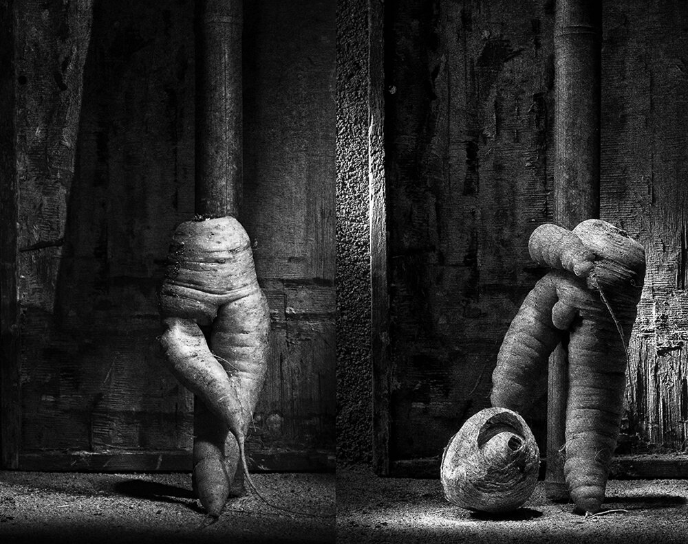 Инь и Янь - Владимир Нефедов