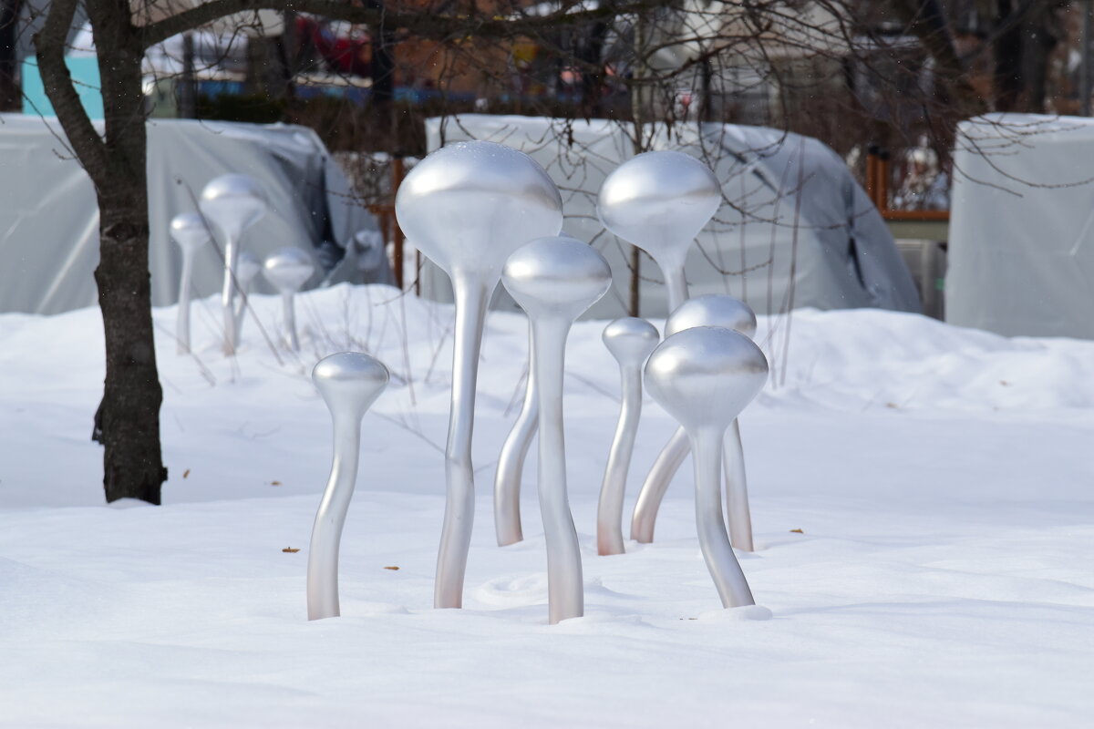 Космические опята. - Наталья Вязигина