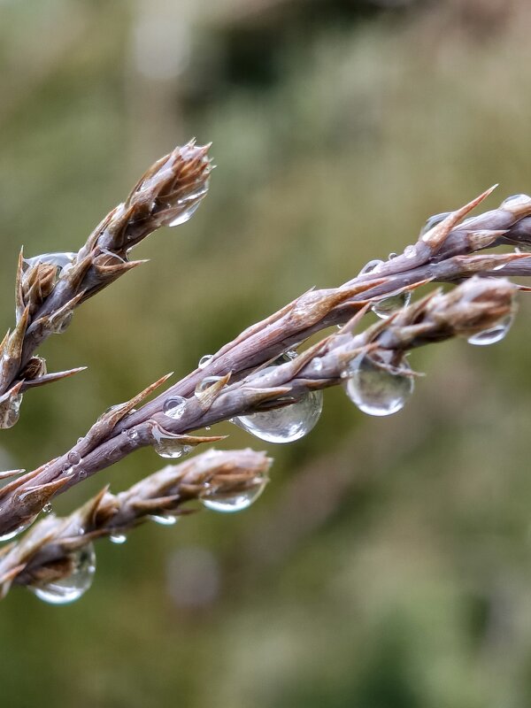 Без названия - Валерий Ткаченко