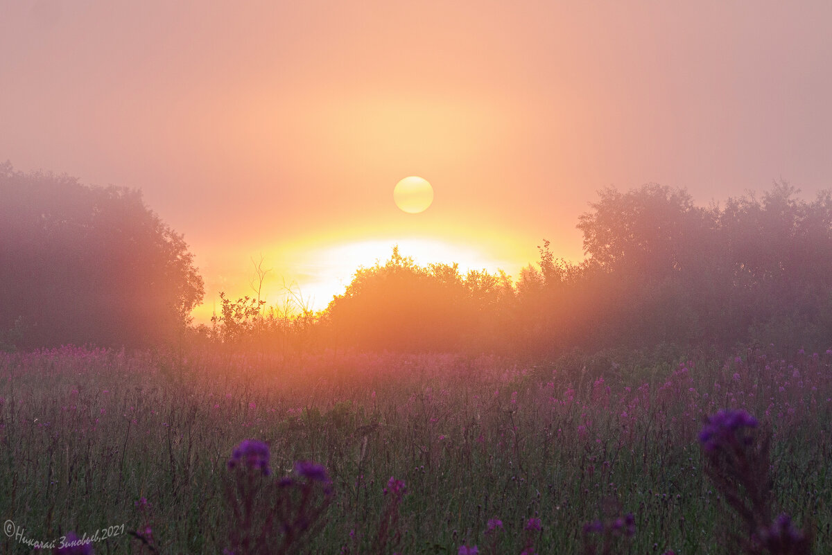 Окрестности Ухты. Солнышко накрыла пелена густого утреннего тумана. - Николай Зиновьев