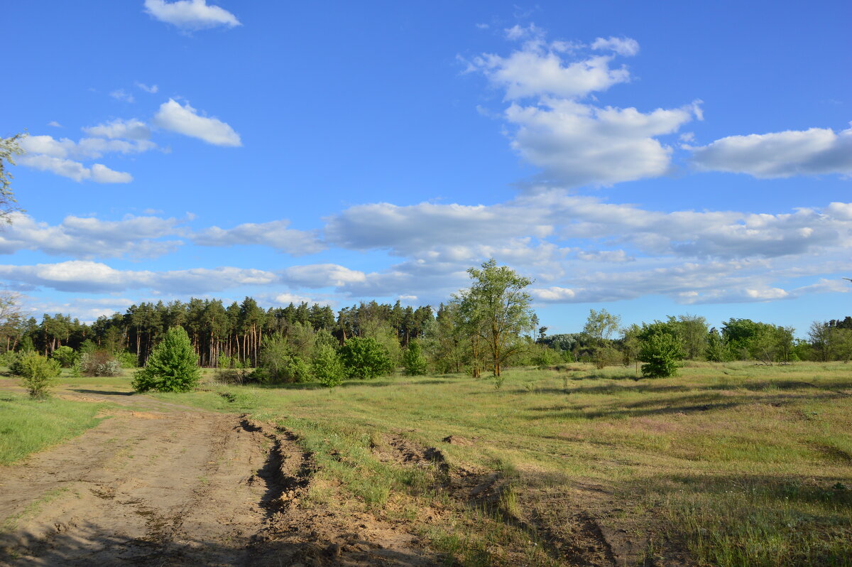 Мои дрроги. - Виктор 