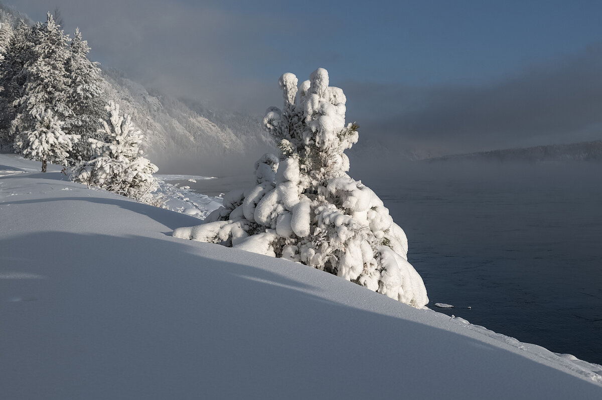 В зимней шубке - Марина Фомина. В зимней шубке - Марина Фомина.