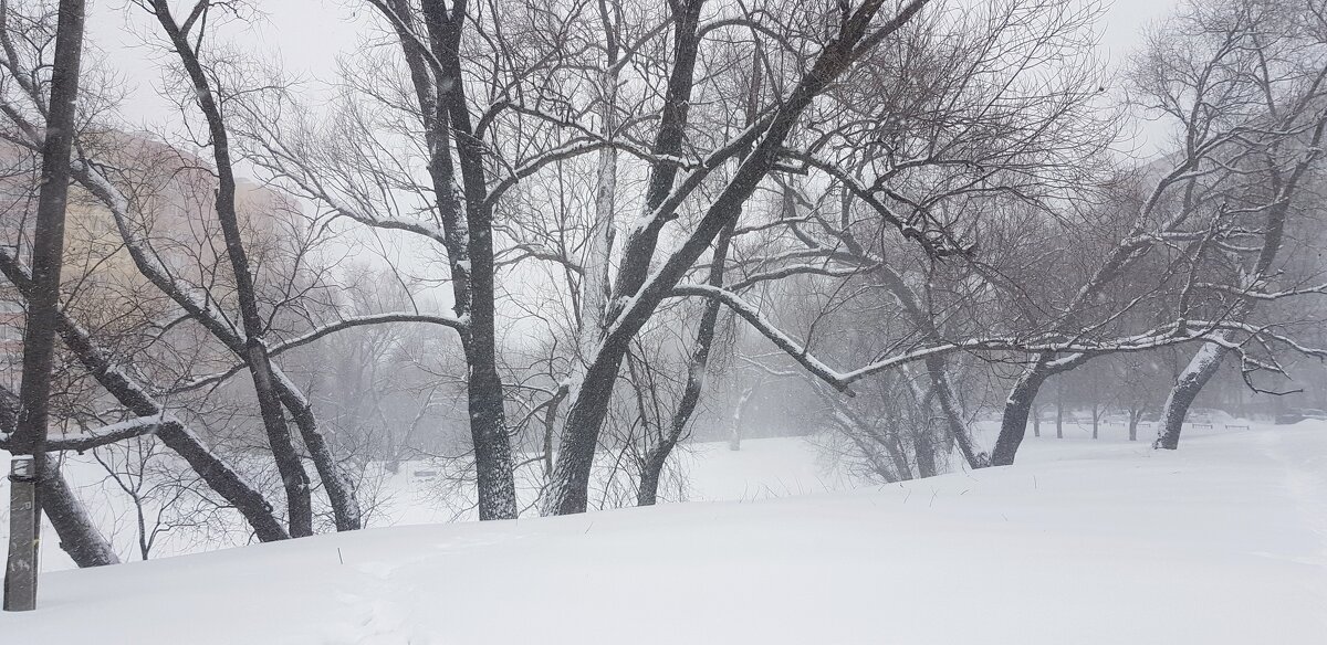 Февраль - Galina Solovova