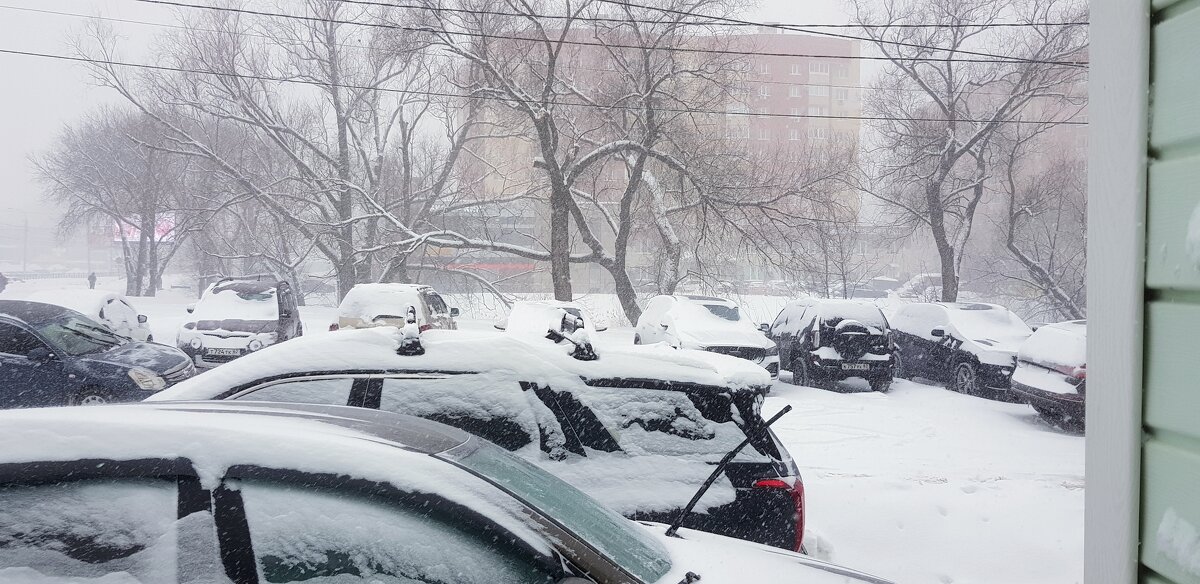 Февраль - Galina Solovova