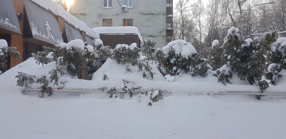 Намело февралём - Galina Solovova Намело февралём - Galina Solovova