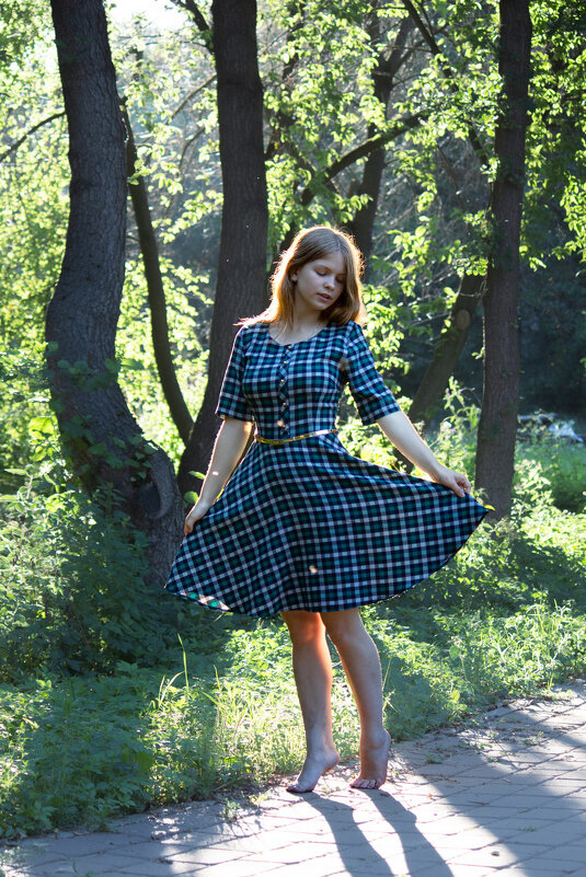 * - Евгений Ваулин