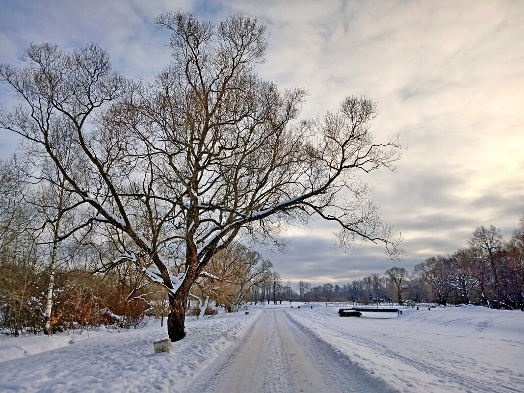 Зимние красоты - Лия ☼ Зимние красоты - Лия ☼