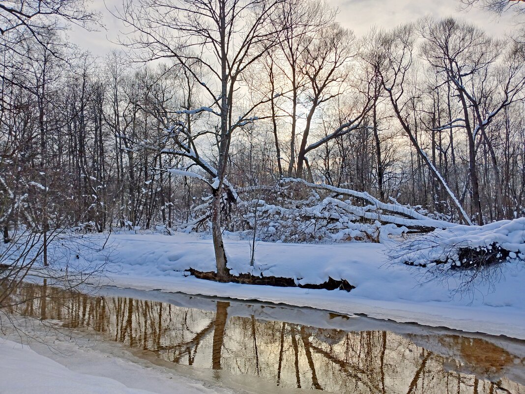 "Немного солнца в холодной воде..." - Лия ☼