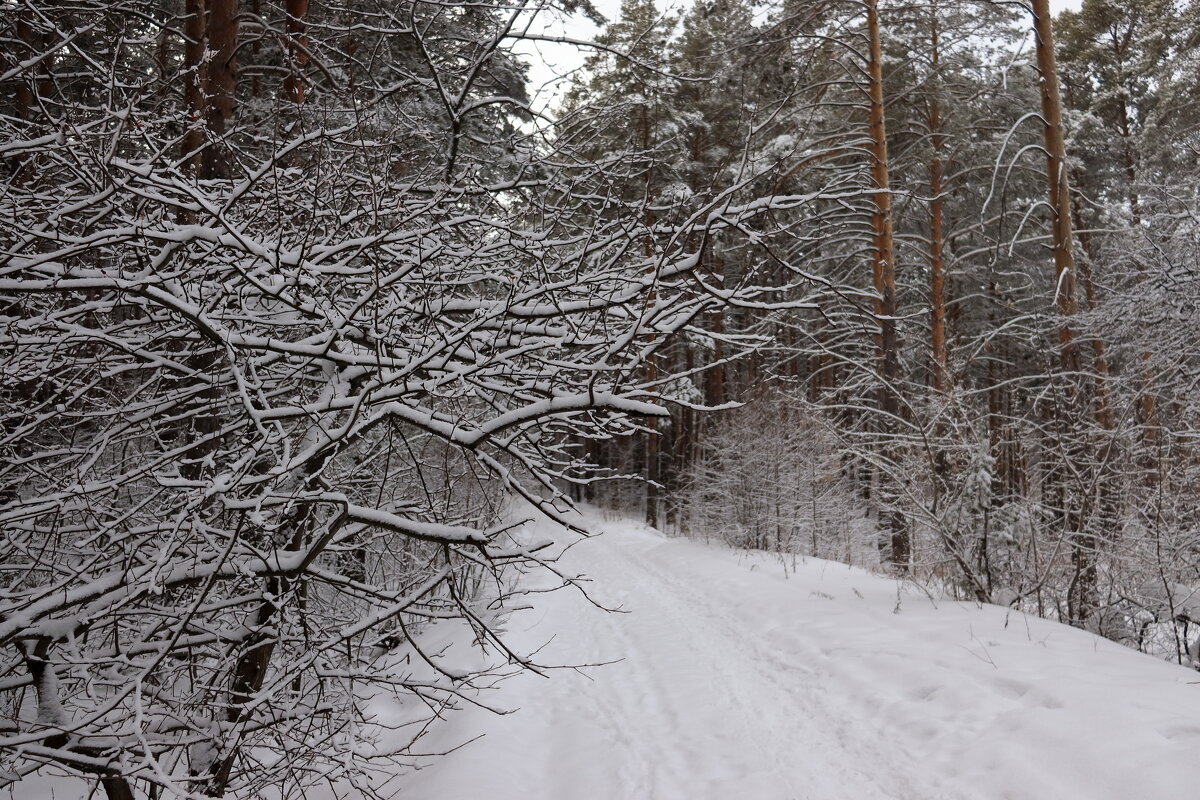 *** - Александр Николаев