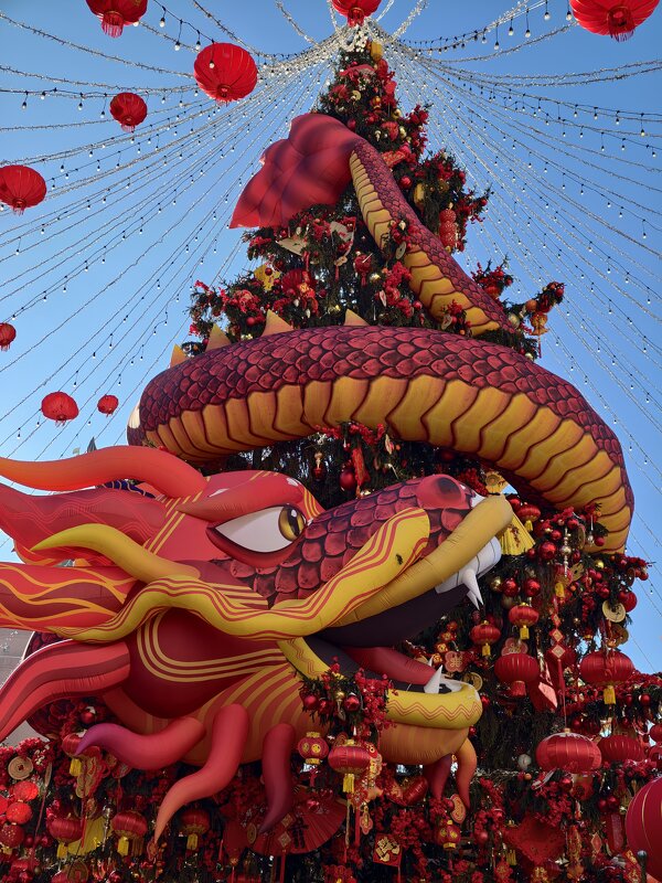 Китайский Новый год на Манежной площади - <<< Наташа >>> Китайский Новый год на Манежной площади - <<< Наташа >>>