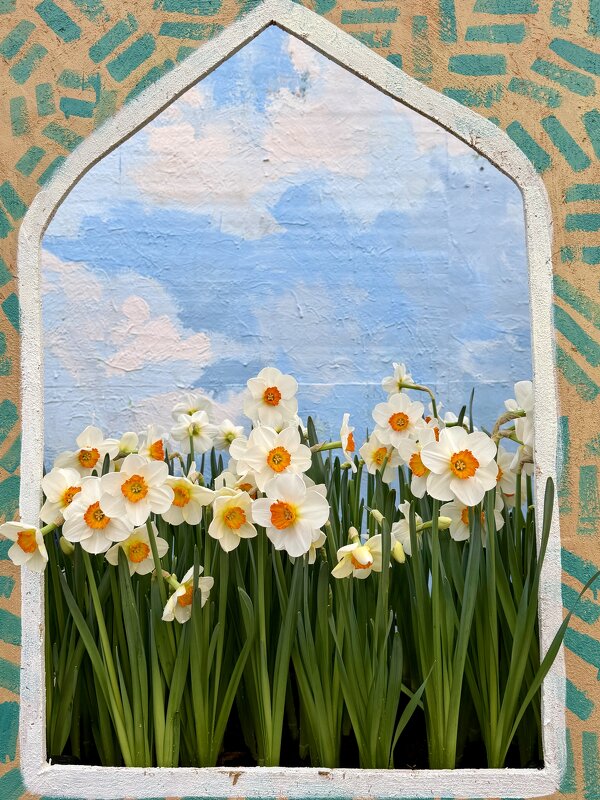 И снова «Репетиция весны» в Аптекарском! - Pippa 