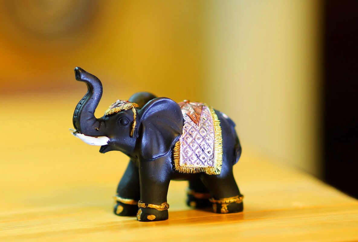 *** - Андрей Л. В.