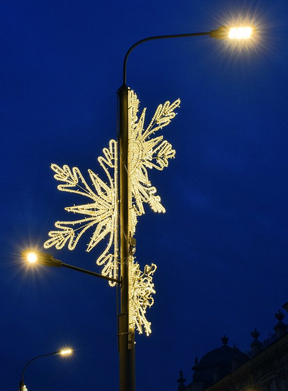 Зимний фонарь льёт свет на тёмный тротуар. - Татьяна Помогалова