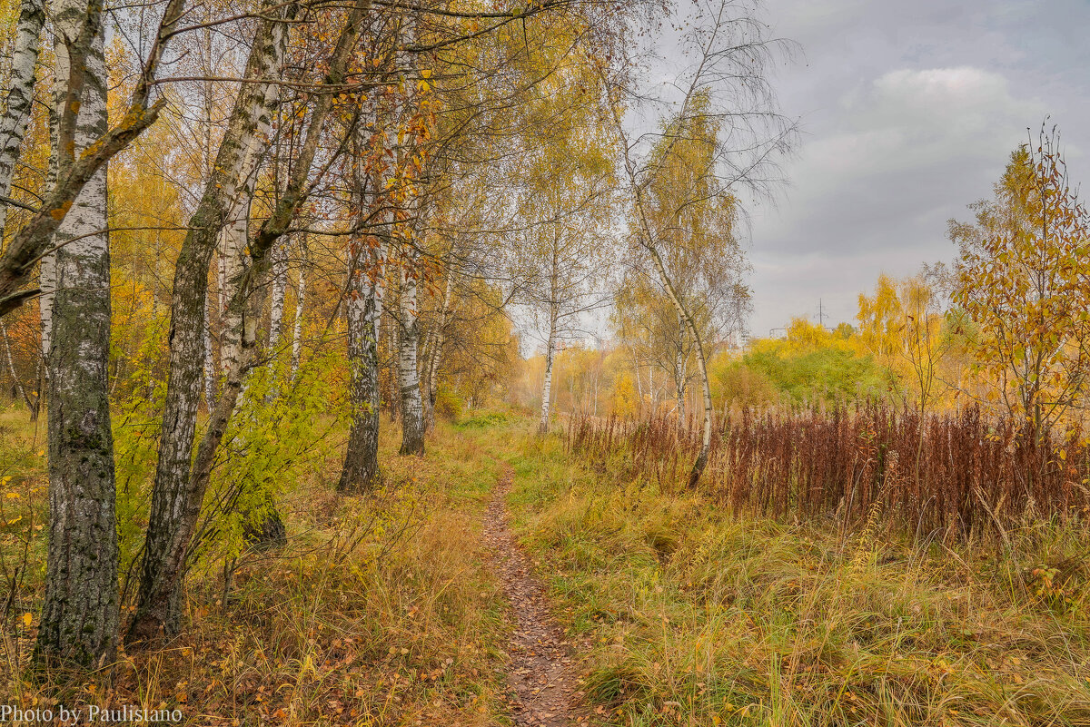 На опушке... - Владимир Жданов