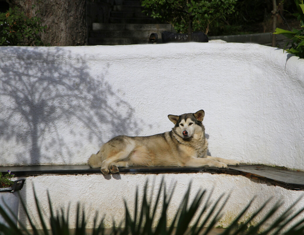Барышня легли и просят. - Геннадий Валеев