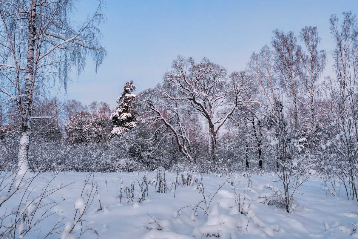 Зима - Владимир Колесников
