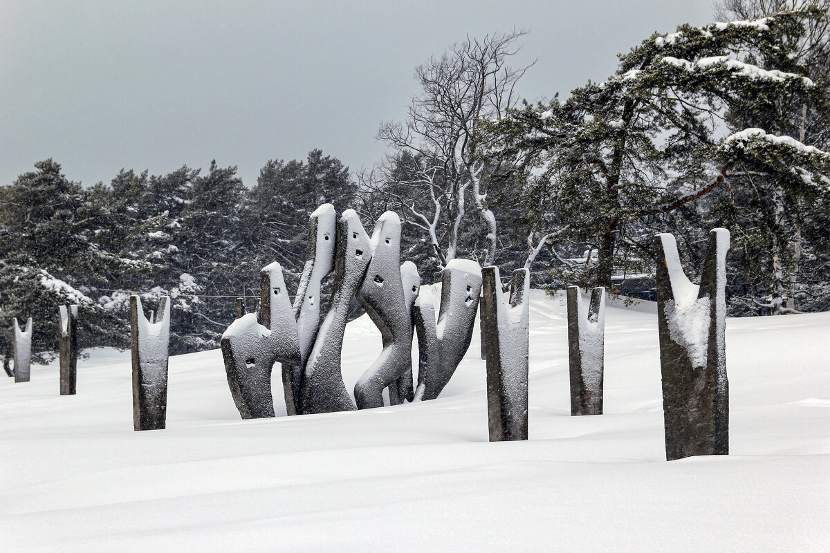 Солнечное - skijumper Иванов