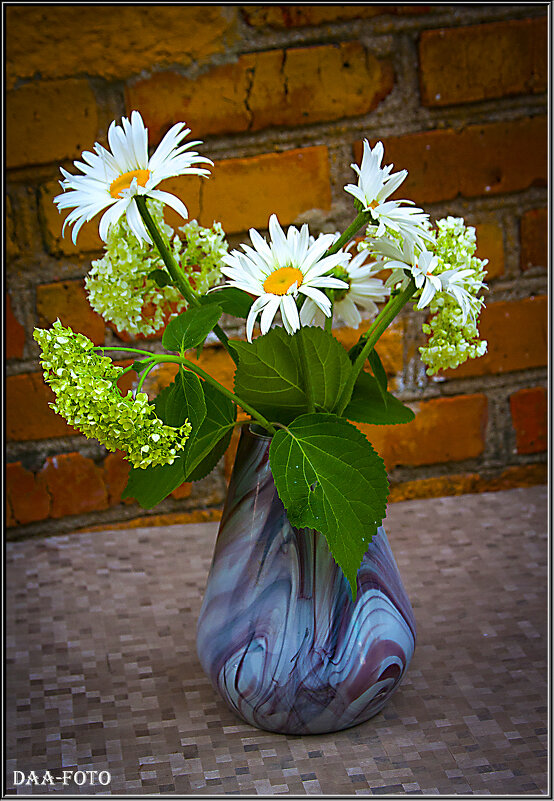 Натюрморт с гортенрией и ромашками. - Александр Дмитриев