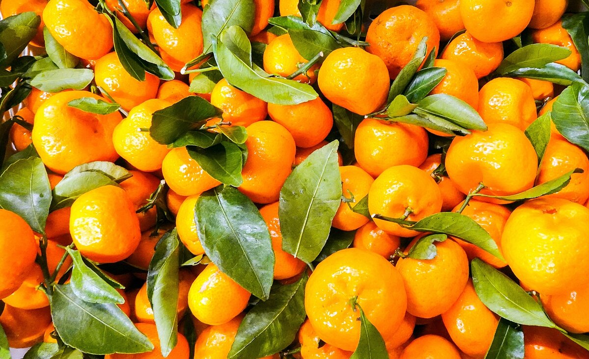 Зимние мандарины — самые сладкие - Валерий Иванович Зимние мандарины — самые сладкие - Валерий Иванович