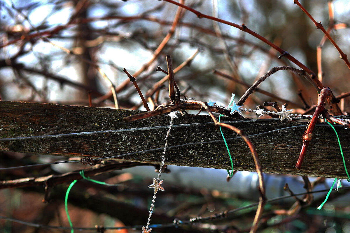 Новый год прошёл, а украшения остались - Юрий Гайворонскiий Новый год прошёл, а украшения остались - Юрий Гайворонскiий