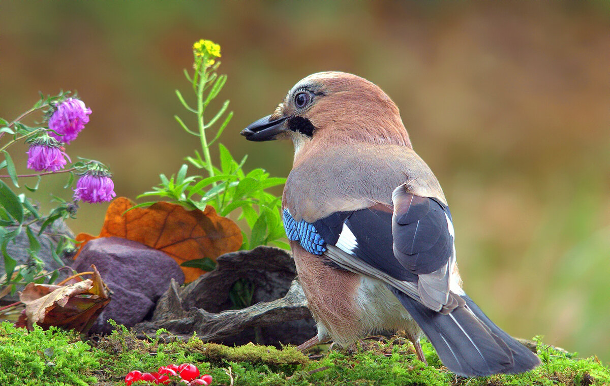 ... - Вячеслав Минаев