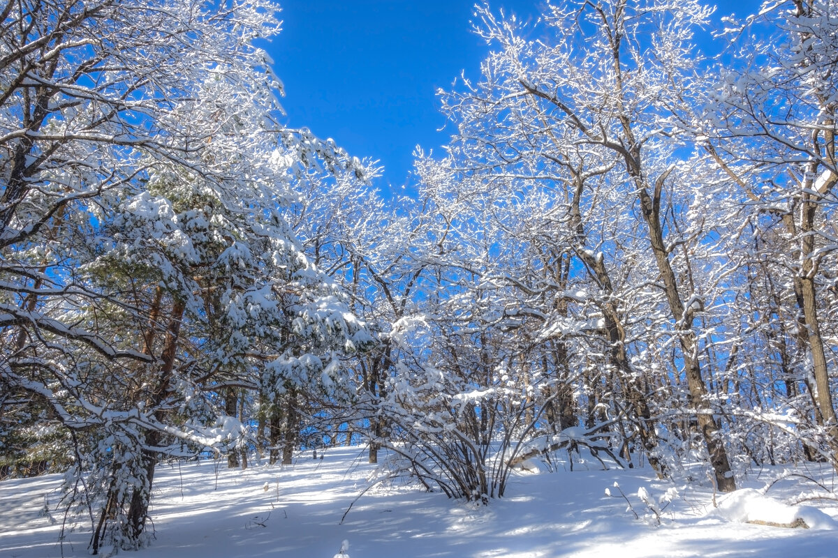 В объятьях солнца день искрился - Наталья Димова В объятьях солнца день искрился - Наталья Димова