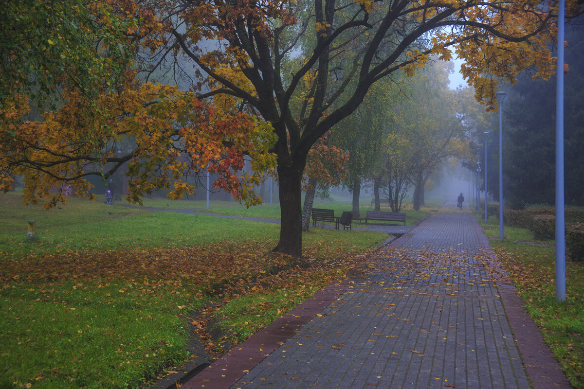 Утренний туман - Владимир Гришин Утренний туман - Владимир Гришин
