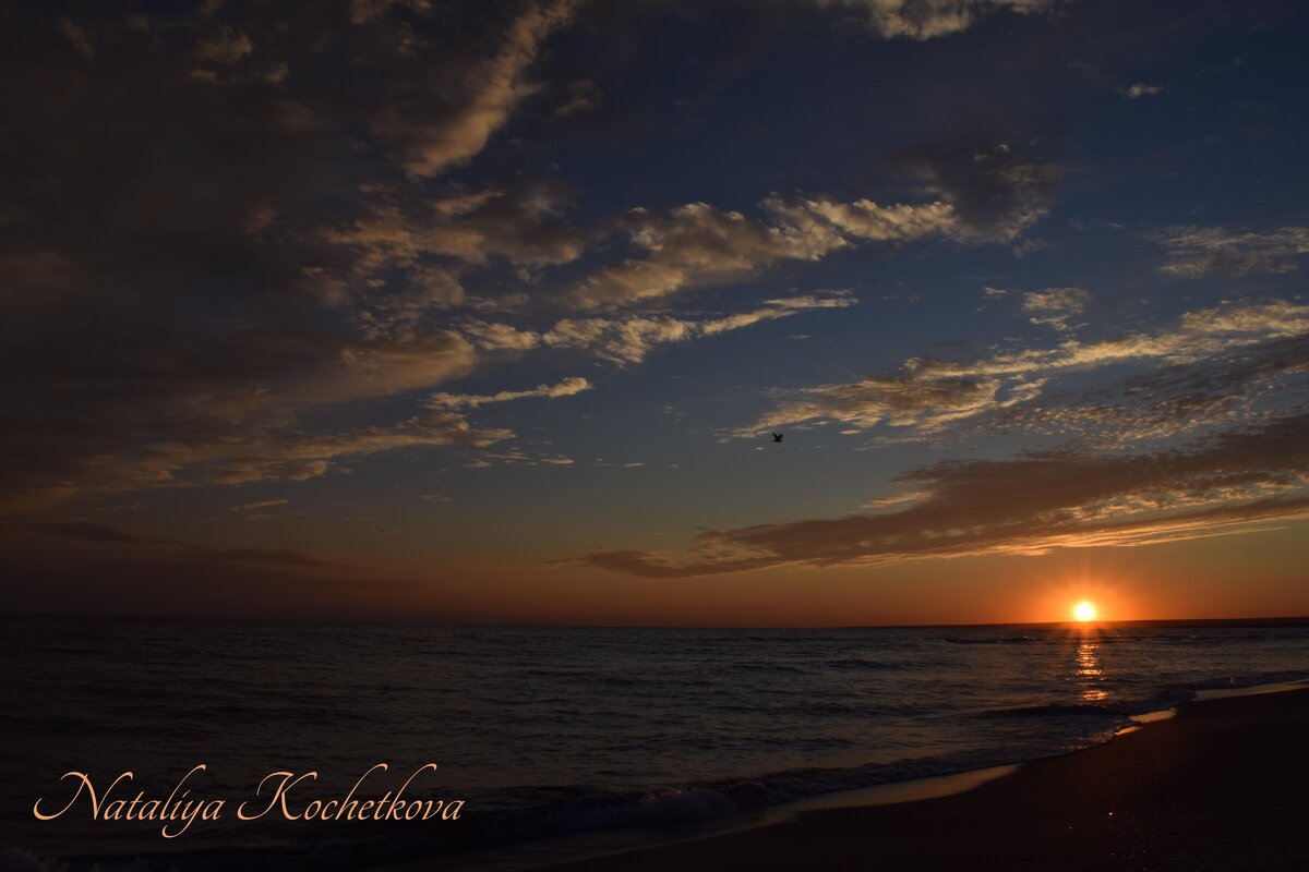 Природа Крыма - Amazing Cosmea Природа Крыма - Amazing Cosmea