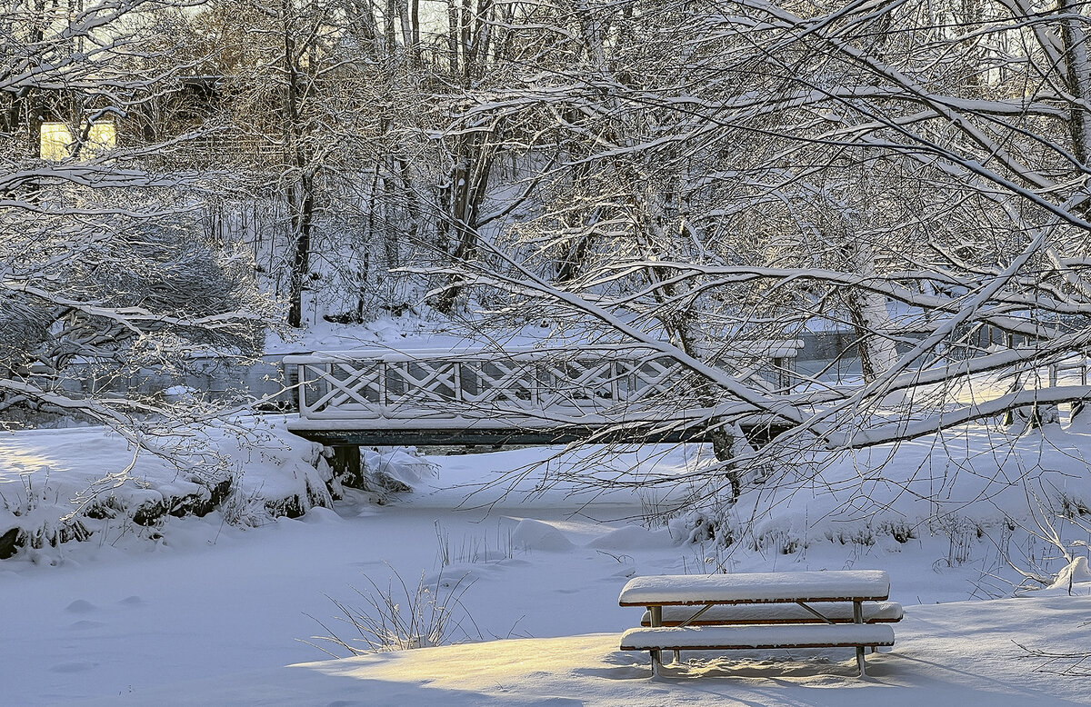 В зимнем парке - Alexandеr P
