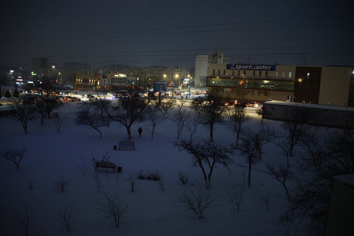 Ночь - Анатолий Чикчирный