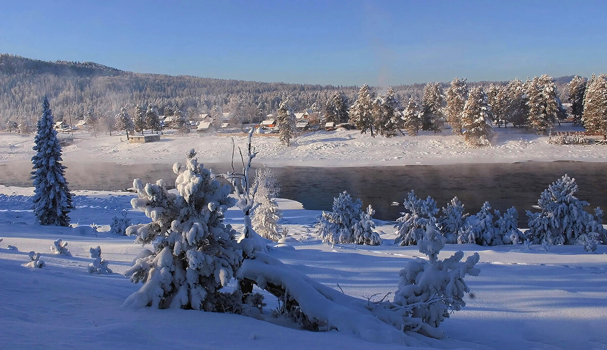 Зимняя Бия - елена беликова