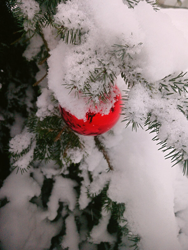 ** - Сергей Кочнев