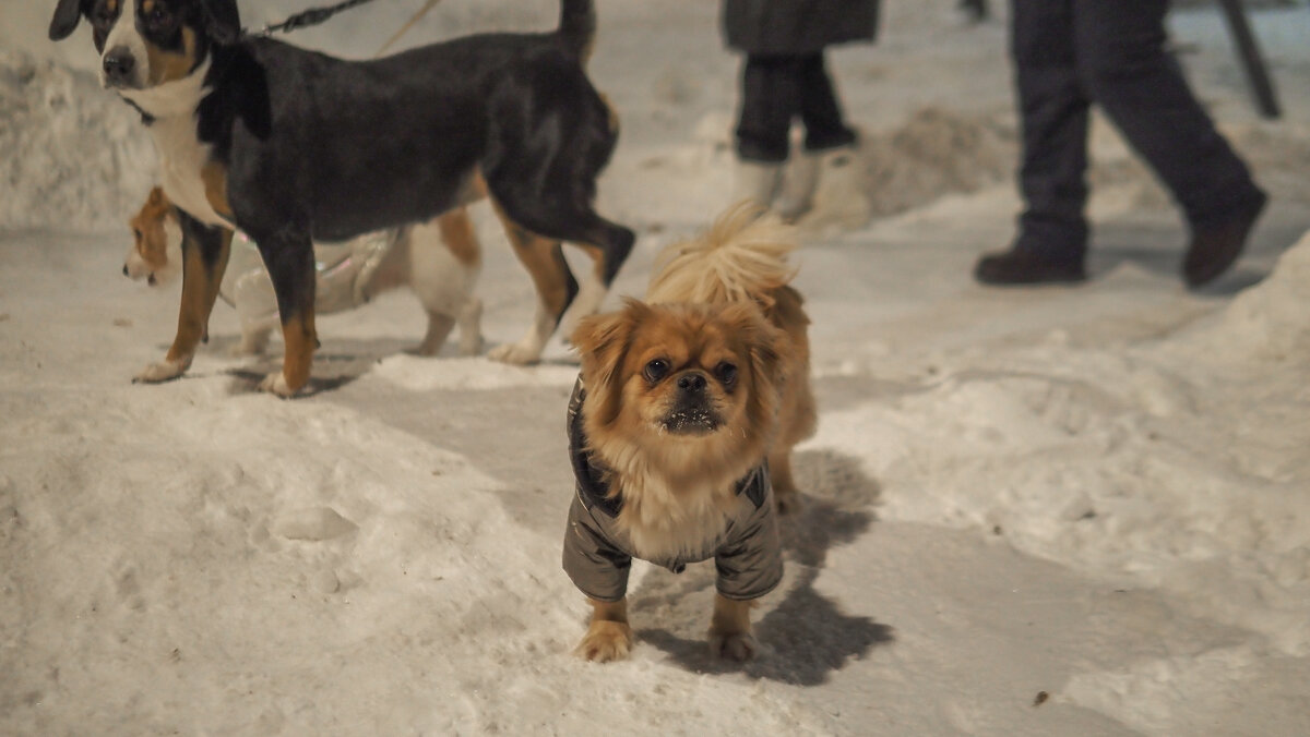 Кроха - юрий поляков Кроха - юрий поляков