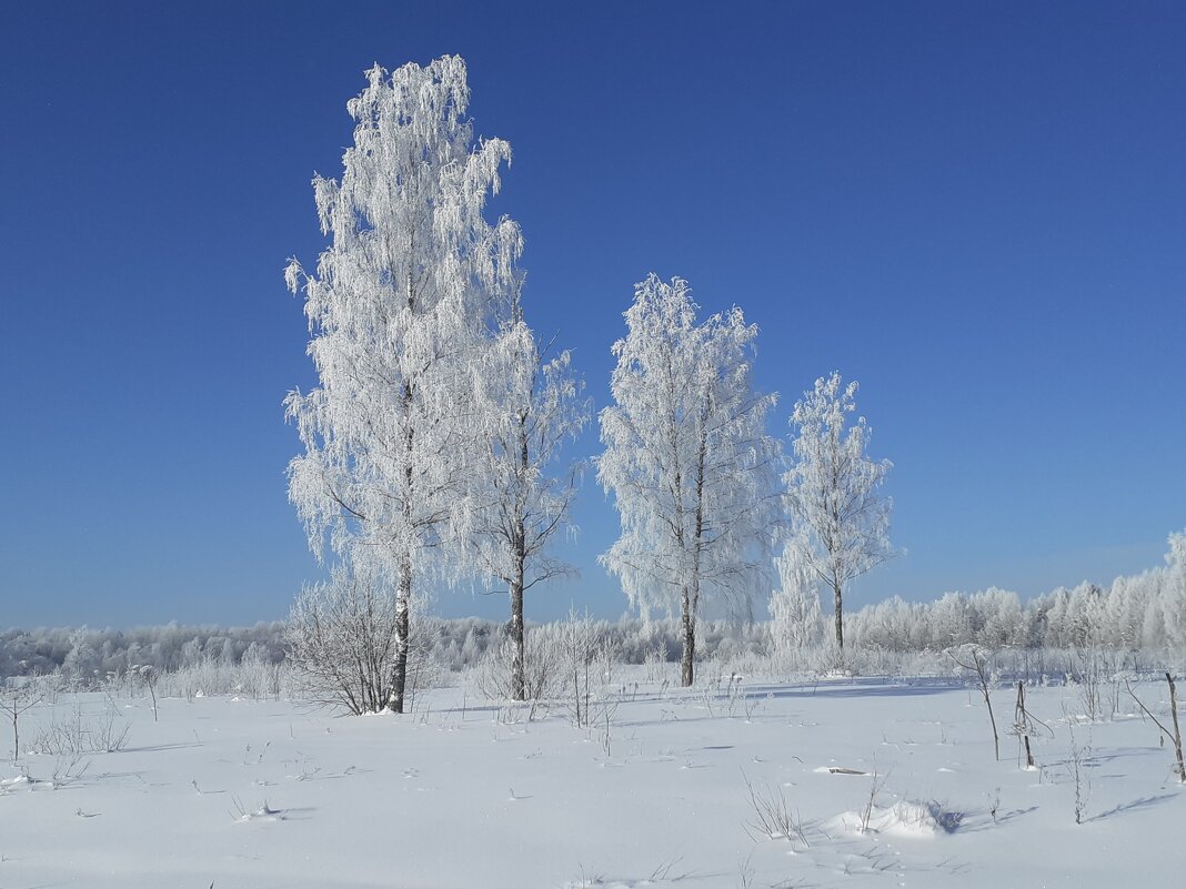 Мороз - художник - Юрий Пучков
