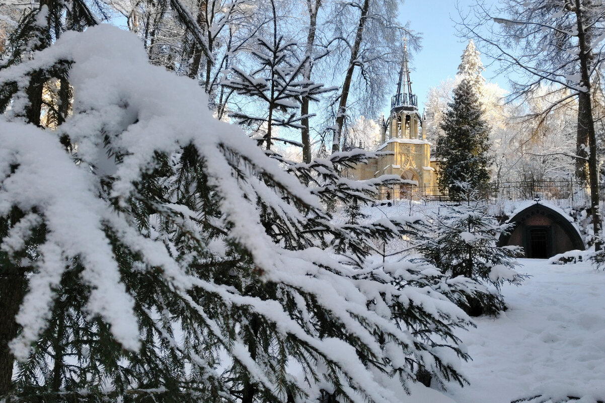 Парголово - tipchik 