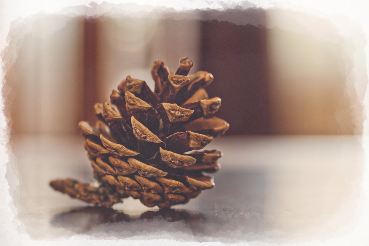 Шишка - Jakob Dick