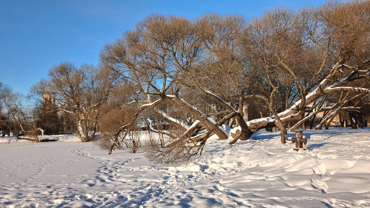 Петергоф. Ольгин пруд - Наталья Герасимова