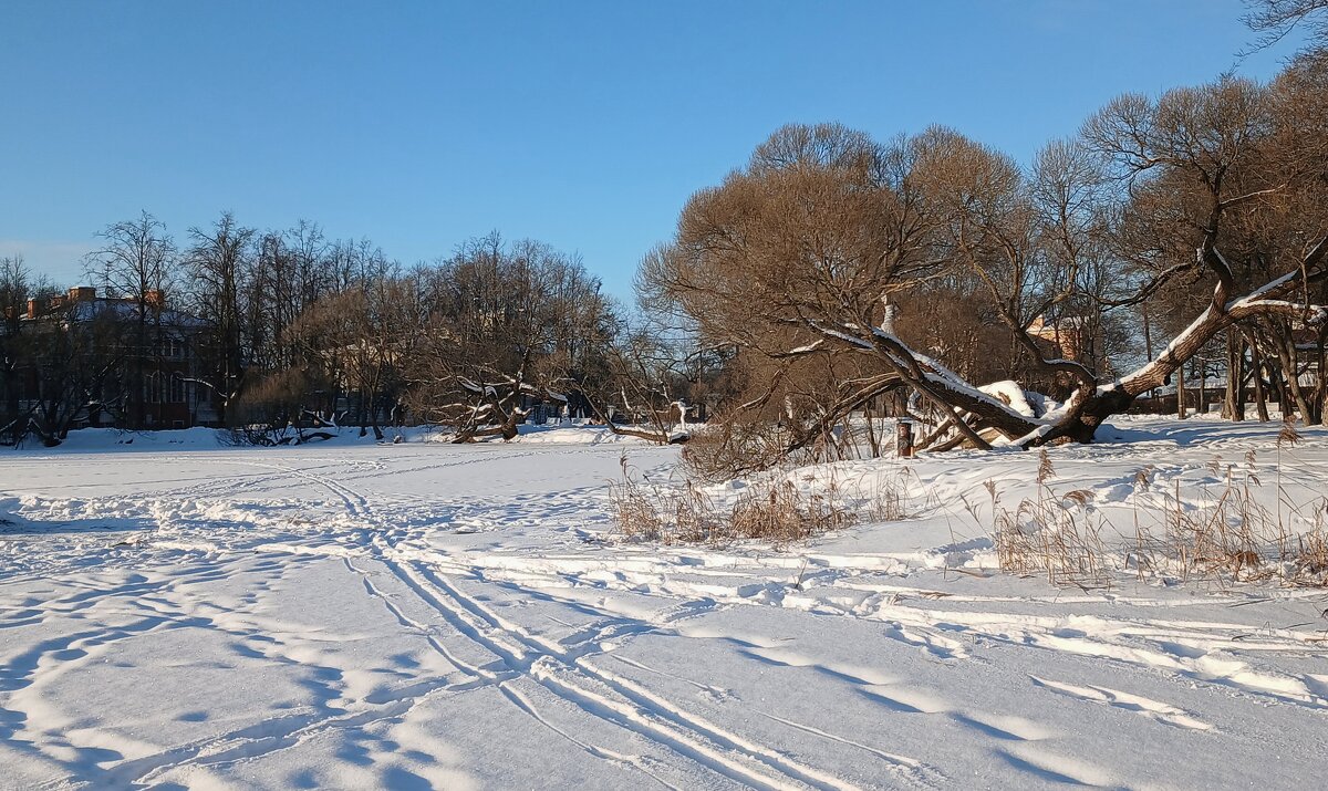 *** - Наталья Герасимова