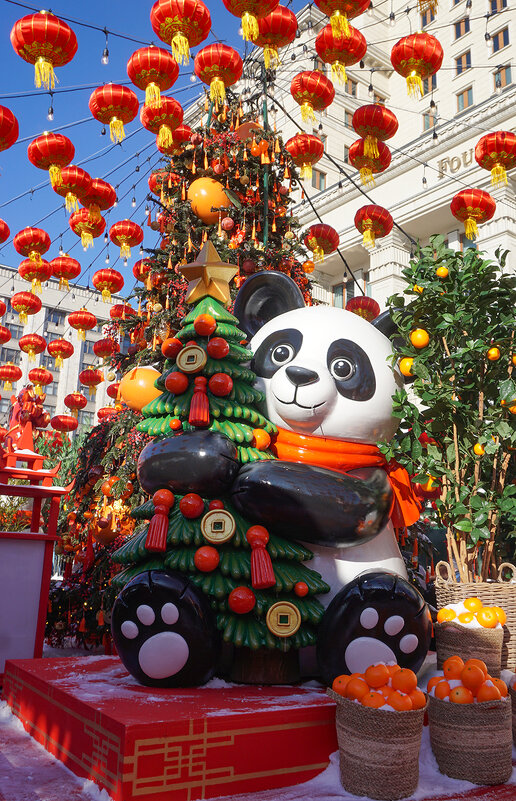 Китайский Новый год - Ольга 