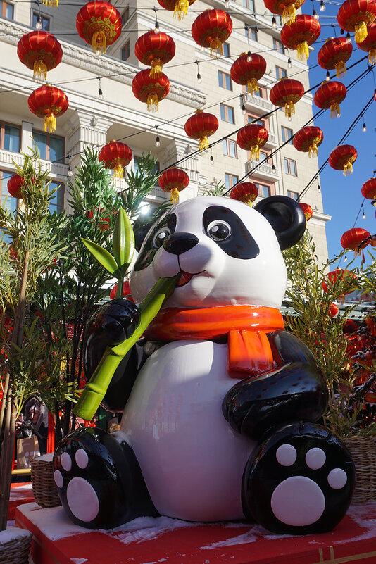 Китайский Новый год - Ольга 