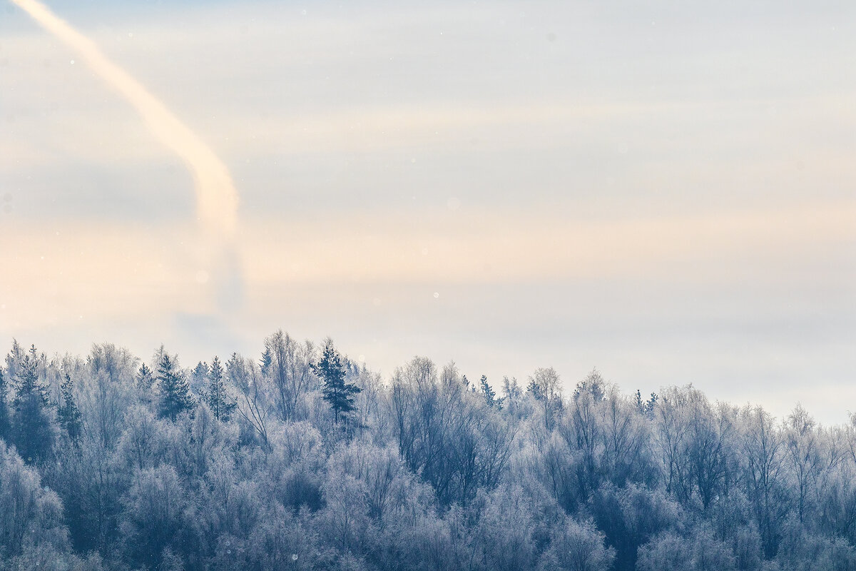 Февральская картинка. - Анатолий. Chesnavik.