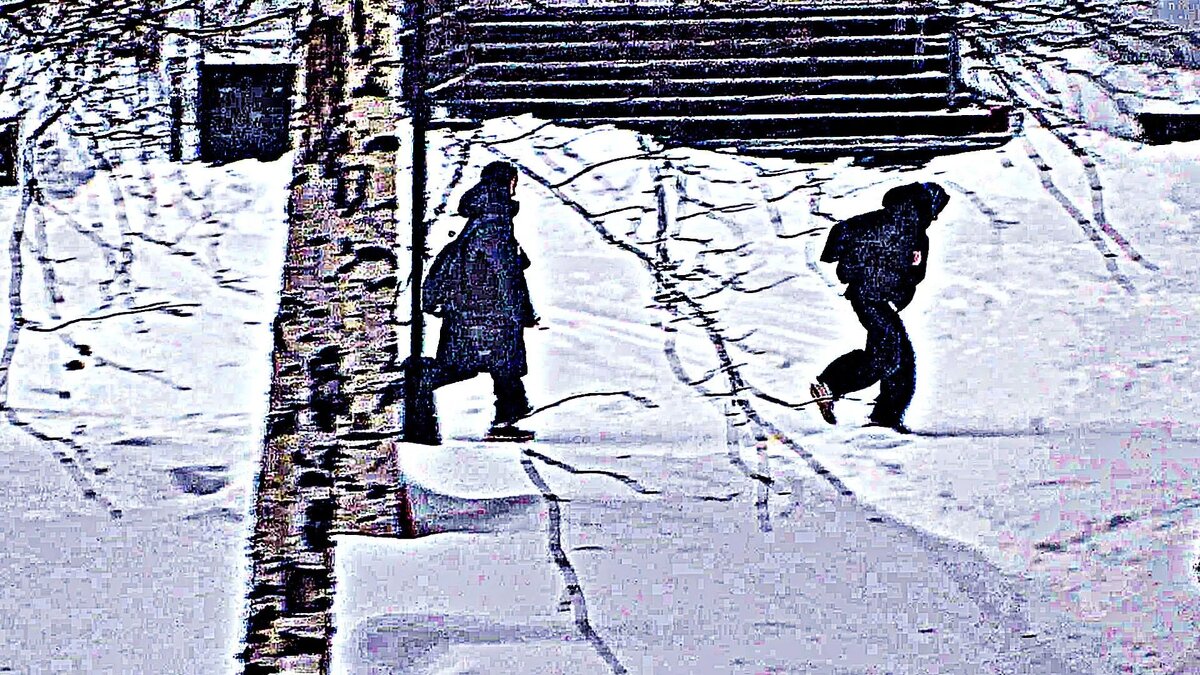 Февраль..Бегом в школу! - Владимир 