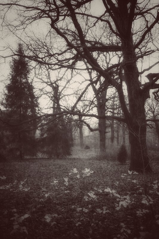 Тревожное очарование забытых мест - Сергей В Тревожное очарование забытых мест - Сергей В