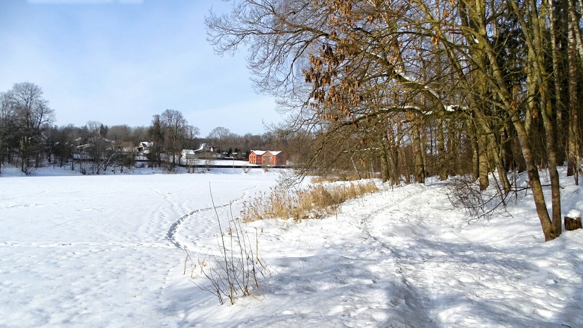 Февраль на Смоленщине. - Милешкин Владимир Алексеевич 